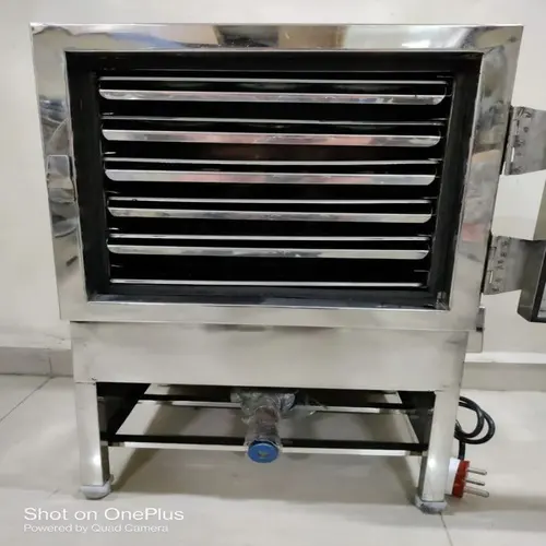 Gas Electric Idli Dhokla Steamer Machine