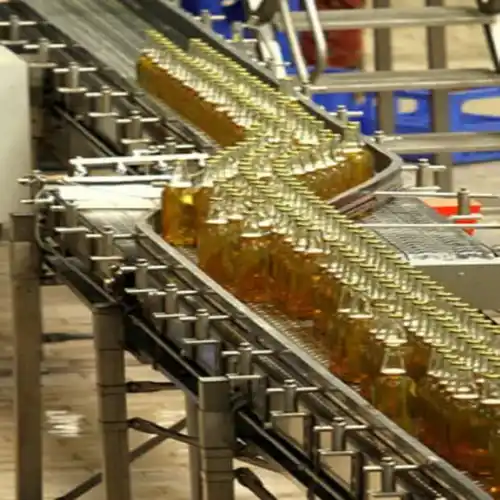 Glass Bottle Transport Conveyor