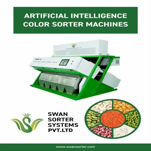Green Pea Color Sorting Machine, Automatic