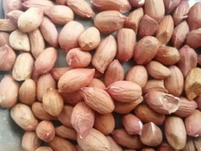 HPS Groundnut Kernels, 50kg Sacks