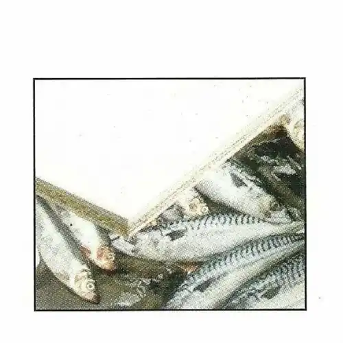 Hygienic Food Grade Belt