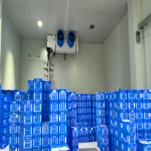 Mango Ripening Equipment