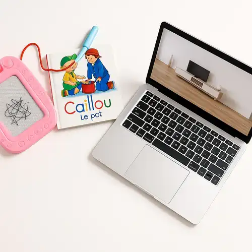 Matrimonial Website Development Service