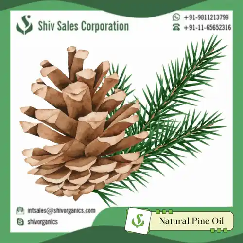 Natural Pine Oil, 25kg Packaging