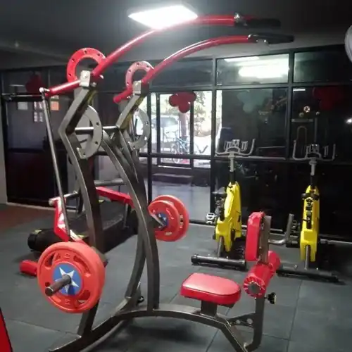 Polished Mild Steel Gym Lat Pulldown Equipment