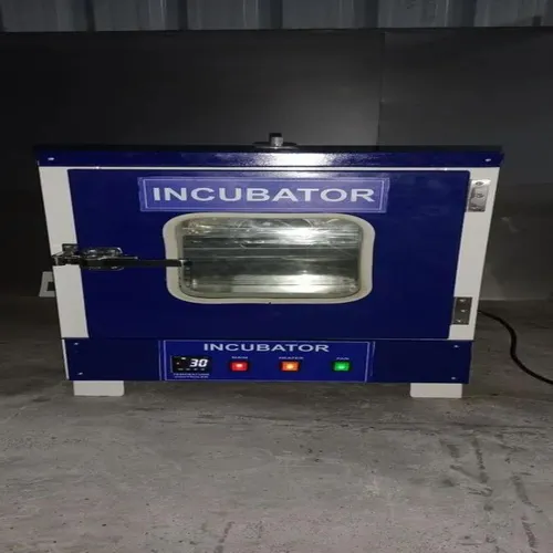 Powder Coated Lab Bacteriological Incubator