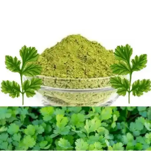 Powdered Dried Coriander