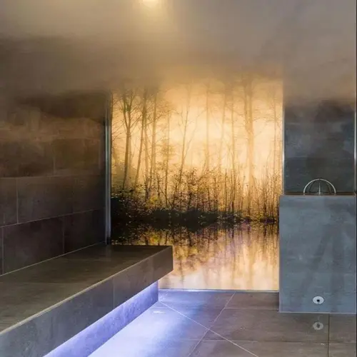 Quolike Glass Steam Generator