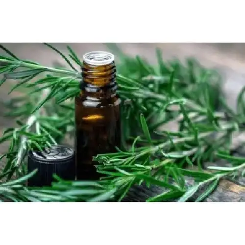 Rosemary Essential Oil