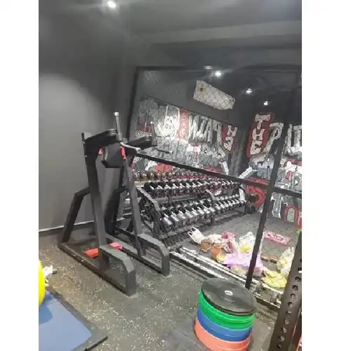 Roxan Dip and Knee Raise Machine