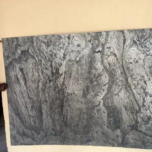 Sandstone Black Stone Veneer