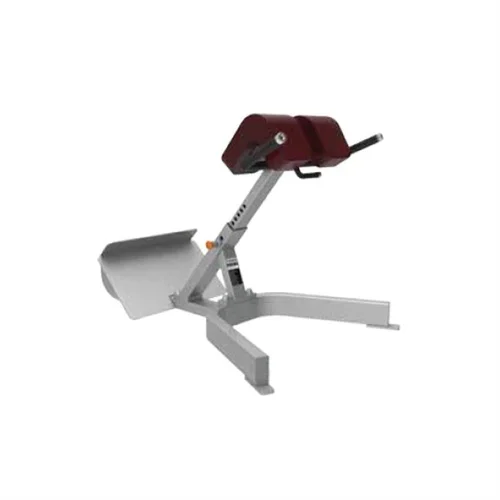 Silver Roman Back Extension, Gym