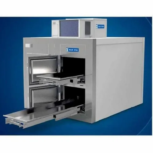Stainless Steel Electric Mortuary Freezer Box, 8 Feet