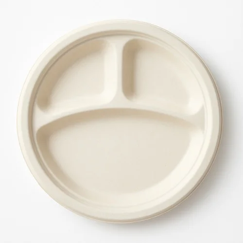 Sugarcane Biodegradable Meal Tray