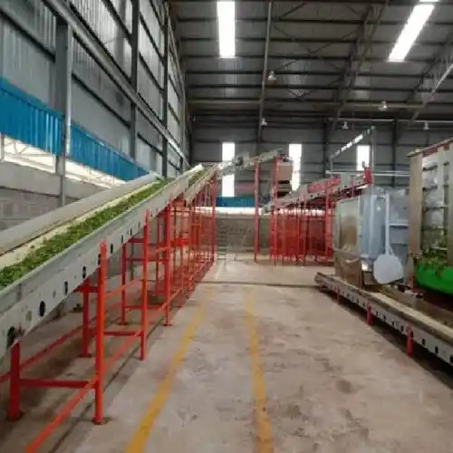 Vibratory Green Leaf Classifier