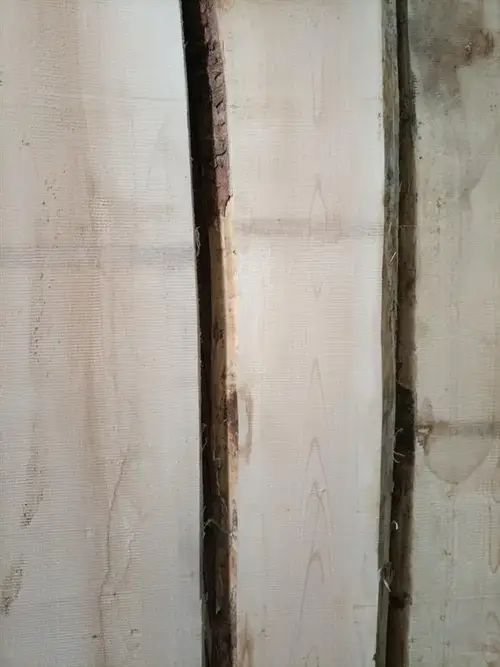 White Maple Furniture Wood (2.2m-3.5m)