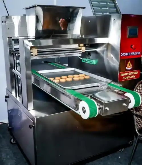 Wire Cutting Cookies Machine - 100 Kg/Hr