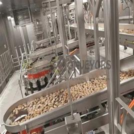 Automatic Vibrating Conveyor Equipment