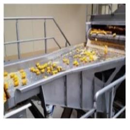 Vibratory Ginger Sorting Equipment