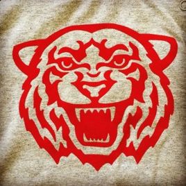 Vision Media Flock Heat Transfer Vinyl