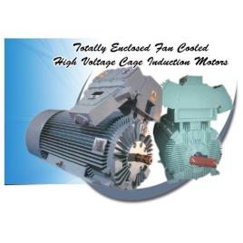 Volga Freeze Three Phase Motor, 500-1000 RPM, 0.5-1 hp