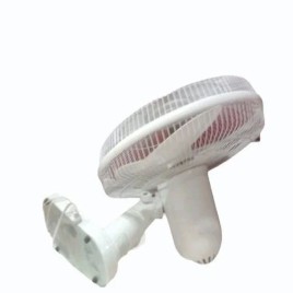 Wall Mounted Fan