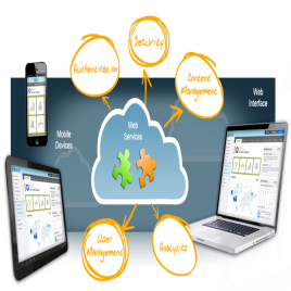 Web Application Development Service