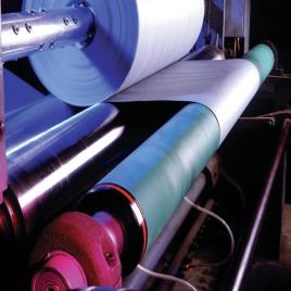 Webex Adjustable Bow Rolls