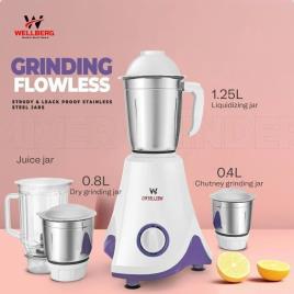 Wellberg 550W Mixer Grinder