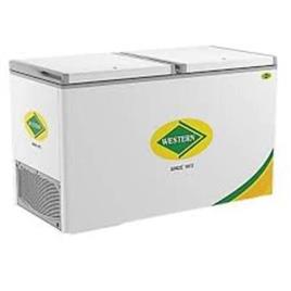 Western Deep Storage Freezer