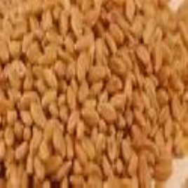Wheat Grains