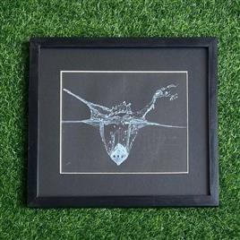 White on Black Still Life Art (Code-032)