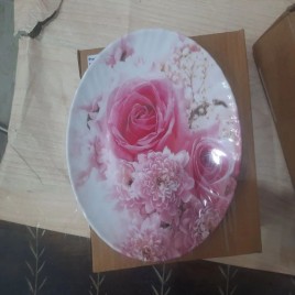 White Melamine Round Plate, 11 inch, Hotel Use