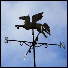 Wind Direction Vane