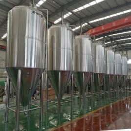 Wine Fermenter Vessel 100L