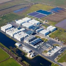 Industrial Wine Production Machine