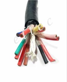 ELTEC Multi-Core Silicone Rubber Cables