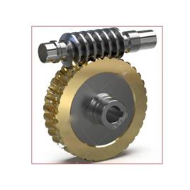 Worm Drive Gear