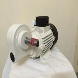 Electric Worm Gear Motor