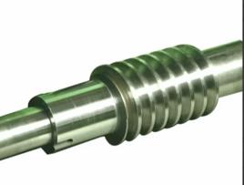 Stainless Steel Worm Shaft