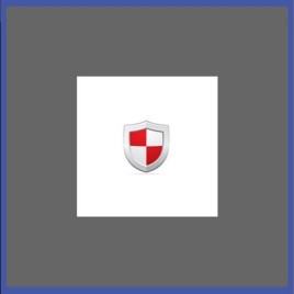 Worm Virus Enhancement Services