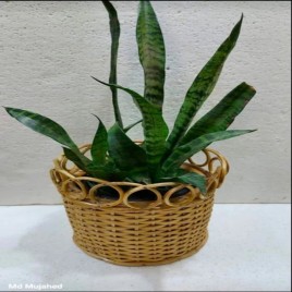 Yellow Fibers Cane Basket Planter