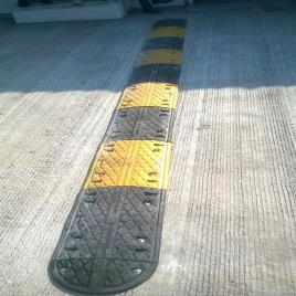 S3PL Society Speed Bump