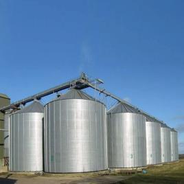 Industrial Grain Silo