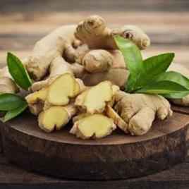 Zingiber Officinale Ginger Oil Natural