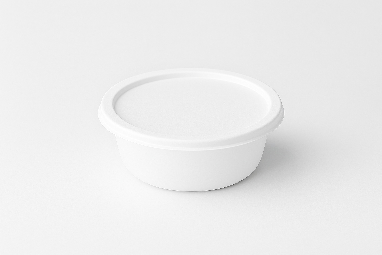 Disposable Plastic Food Container